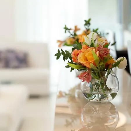 Hotel Vistamare 3* Rivazzurra Di Rimini